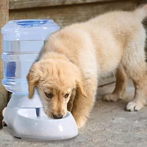 Automatic Pet Water Dispenser